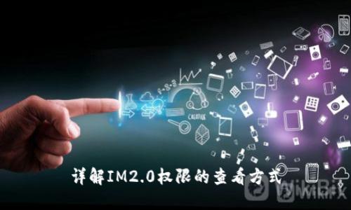 详解IM2.0权限的查看方式