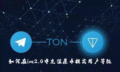 如何在im2.0中充值屎币提高用户等级